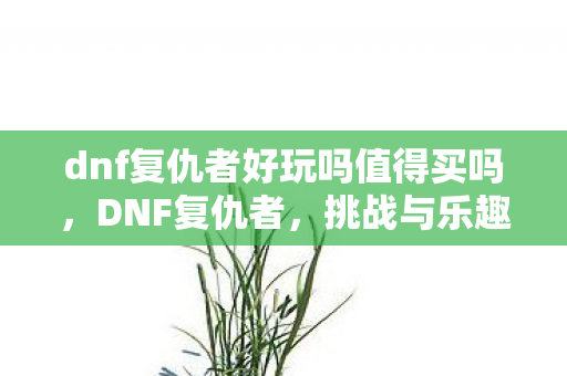 dnf复仇者好玩吗值得买吗,DNF复仇者,挑战与乐趣并存的战斗体验 dnf复仇者好玩吗值得买吗,DNF复仇者,挑战与乐趣并存的战斗体验
