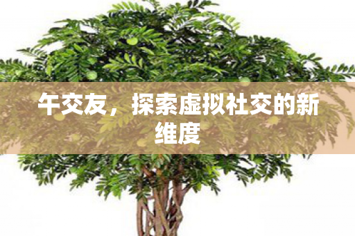 午交友,探索虚拟社交的新维度 午交友,探索虚拟社交的新维度