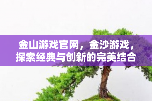 金山游戏官网,金沙游戏,探索经典与创新的完美结合 金山游戏官网,金沙游戏,探索经典与创新的完美结合