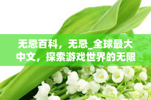 无忌百科,无忌_全球最大中文,探索游戏世界的无限可能 无忌百科,无忌_全球最大中文,探索游戏世界的无限可能