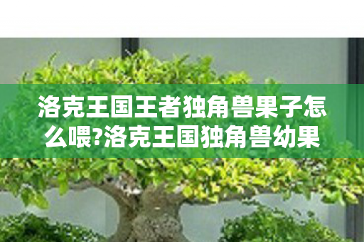 洛克王国王者独角兽果子怎么喂?洛克王国独角兽幼果的神奇用途 洛克王国王者独角兽果子怎么喂?洛克王国独角兽幼果的神奇用途