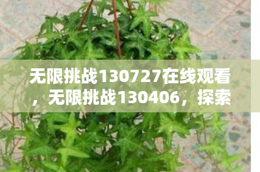 无限挑战130727在线观看，无限挑战130406，探索游戏世界的无限可能