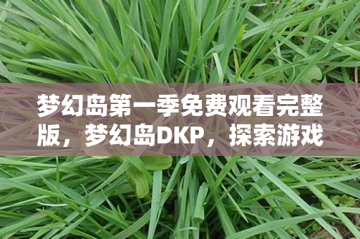 梦幻岛第一季免费观看完整版，梦幻岛DKP，探索游戏内的经济体系与玩家互动