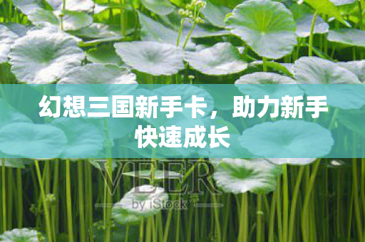 幻想三国新手卡,助力新手快速成长 幻想三国新手卡,助力新手快速成长