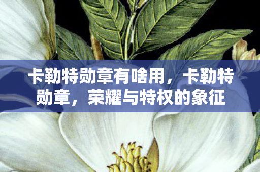 卡勒特勋章有啥用,卡勒特勋章,荣耀与特权的象征 卡勒特勋章有啥用,卡勒特勋章,荣耀与特权的象征
