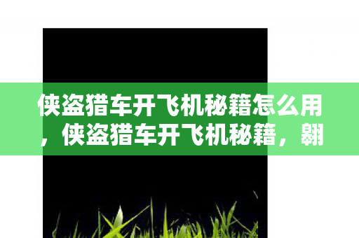 侠盗猎车开飞机秘籍怎么用，侠盗猎车开飞机秘籍，翱翔天际的飞行技巧