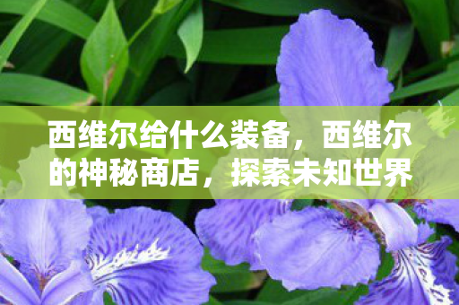 西维尔给什么装备,西维尔的神秘商店,探索未知世界的奇幻之旅 西维尔给什么装备,西维尔的神秘商店,探索未知世界的奇幻之旅
