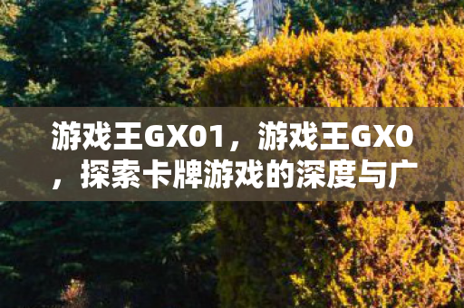 游戏王GX01,游戏王GX0,探索卡牌游戏的深度与广度 游戏王GX01,游戏王GX0,探索卡牌游戏的深度与广度