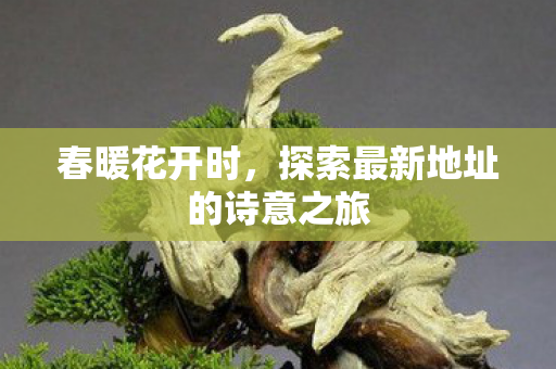 春暖花开时，探索最新地址的诗意之旅