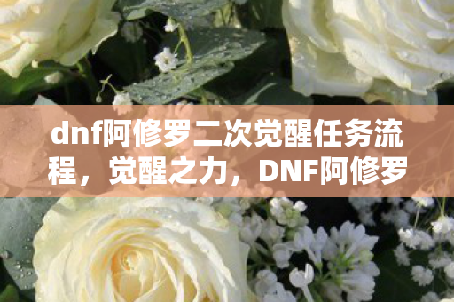 dnf阿修罗二次觉醒任务流程，觉醒之力，DNF阿修罗二次觉醒的震撼登场