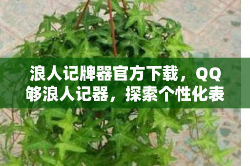 浪人记牌器官方下载,QQ够浪人记器,探索个性化表达的新境界 浪人记牌器官方下载,QQ够浪人记器,探索个性化表达的新境界