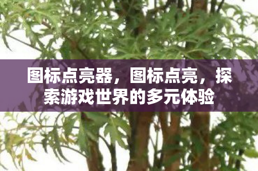 图标点亮器,图标点亮,探索游戏世界的多元体验 图标点亮器,图标点亮,探索游戏世界的多元体验