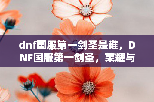 dnf国服第一剑圣是谁,DNF国服第一剑圣,荣耀与梦想的征途 dnf国服第一剑圣是谁,DNF国服第一剑圣,荣耀与梦想的征途