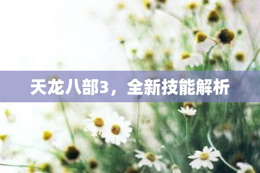 天龙八部3,全新技能解析 天龙八部3,全新技能解析
