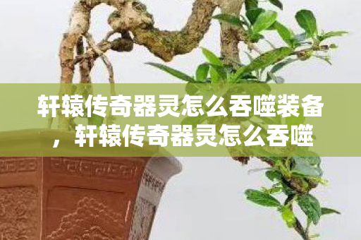 轩辕传奇器灵怎么吞噬装备,轩辕传奇器灵怎么吞噬 轩辕传奇器灵怎么吞噬装备,轩辕传奇器灵怎么吞噬