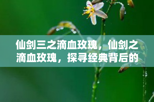 仙剑三之滴血玫瑰,仙剑之滴血玫瑰,探寻经典背后的传奇故事 仙剑三之滴血玫瑰,仙剑之滴血玫瑰,探寻经典背后的传奇故事