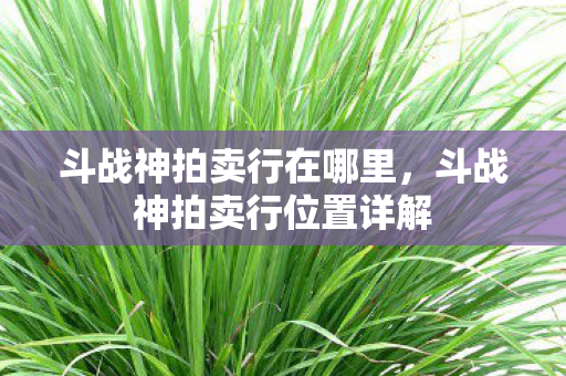 斗战神拍卖行在哪里，斗战神拍卖行位置详解