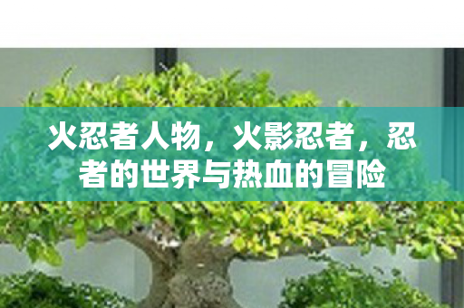 火忍者人物，火影忍者，忍者的世界与热血的冒险