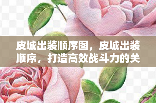 皮城出装顺序图,皮城出装顺序,打造高效战斗力的关键 皮城出装顺序图,皮城出装顺序,打造高效战斗力的关键