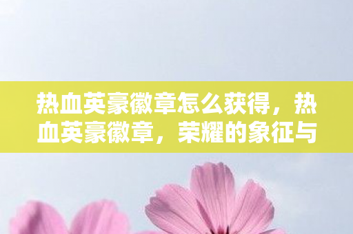 热血英豪徽章怎么获得,热血英豪徽章,荣耀的象征与传承 热血英豪徽章怎么获得,热血英豪徽章,荣耀的象征与传承