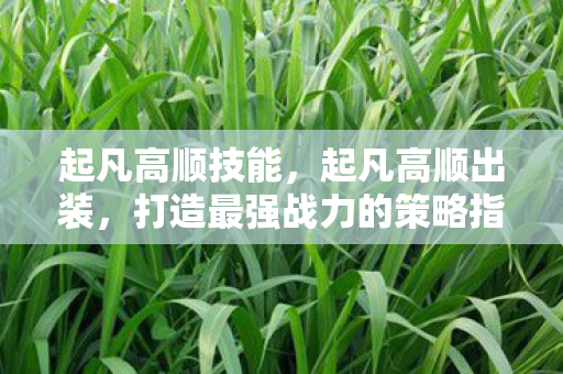 起凡高顺技能，起凡高顺出装，打造最强战力的策略指南