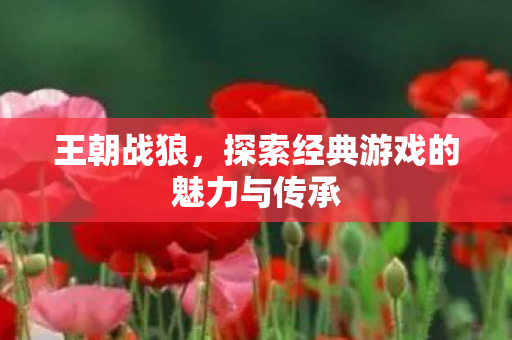 王朝战狼,探索经典游戏的魅力与传承 王朝战狼,探索经典游戏的魅力与传承