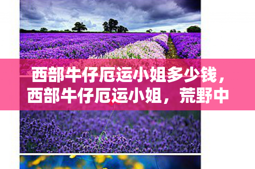 西部牛仔厄运小姐多少钱,西部牛仔厄运小姐,荒野中的孤独枪手 西部牛仔厄运小姐多少钱,西部牛仔厄运小姐,荒野中的孤独枪手