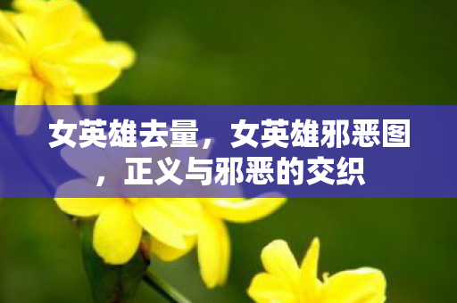 女英雄去量，女英雄邪恶图，正义与邪恶的交织