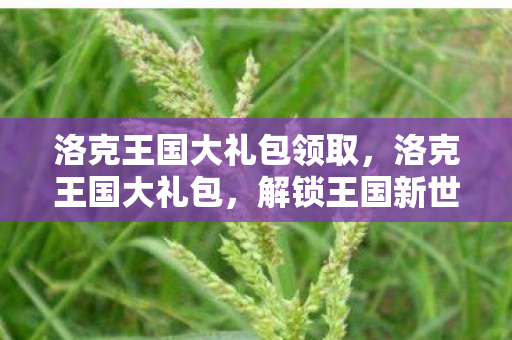 洛克王国大礼包领取,洛克王国大礼包,解锁王国新世界的钥匙 洛克王国大礼包领取,洛克王国大礼包,解锁王国新世界的钥匙