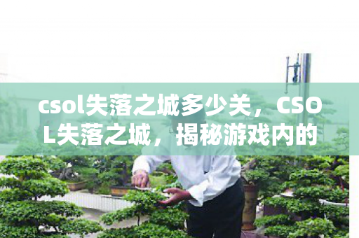 csol失落之城多少关,CSOL失落之城,揭秘游戏内的神秘BUG csol失落之城多少关,CSOL失落之城,揭秘游戏内的神秘BUG