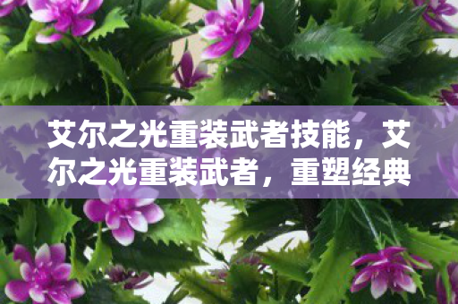 艾尔之光重装武者技能，艾尔之光重装武者，重塑经典，再战巅峰