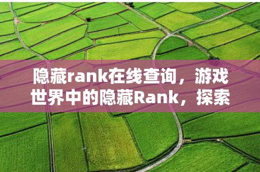 隐藏rank在线查询，游戏世界中的隐藏Rank，探索玩家实力与游戏平衡的神秘维度