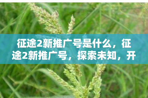 征途2新推广号是什么，征途2新推广号，探索未知，开启全新冒险之旅