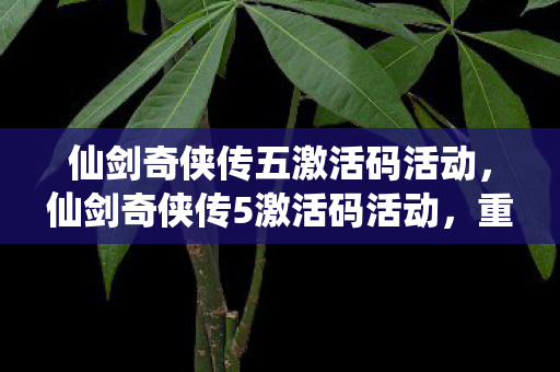 仙剑奇侠传五激活码活动,仙剑奇侠传5激活码活动,重温经典,共享惊喜 仙剑奇侠传五激活码活动,仙剑奇侠传5激活码活动,重温经典,共享惊喜