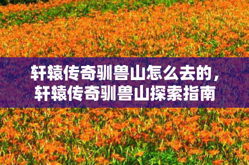轩辕传奇驯兽山怎么去的,轩辕传奇驯兽山探索指南 轩辕传奇驯兽山怎么去的,轩辕传奇驯兽山探索指南