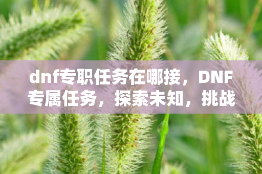 dnf专职任务在哪接，DNF专属任务，探索未知，挑战极限