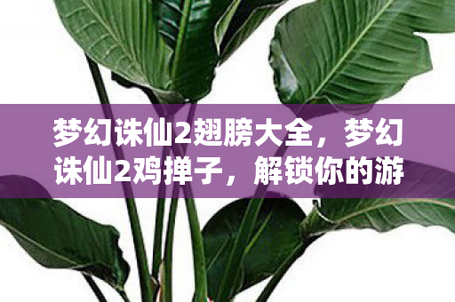 梦幻诛仙2翅膀大全,梦幻诛仙2鸡掸子,解锁你的游戏新体验 梦幻诛仙2翅膀大全,梦幻诛仙2鸡掸子,解锁你的游戏新体验