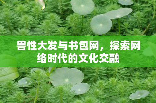 兽性大发与书包网,探索网络时代的文化交融 兽性大发与书包网,探索网络时代的文化交融