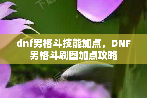 dnf男格斗技能加点,DNF男格斗刷图加点攻略 dnf男格斗技能加点,DNF男格斗刷图加点攻略