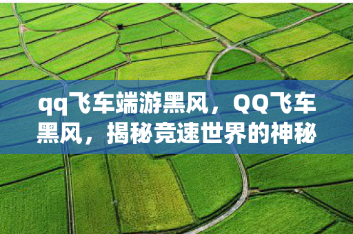 qq飞车端游黑风,QQ飞车黑风,揭秘竞速世界的神秘传说 qq飞车端游黑风,QQ飞车黑风,揭秘竞速世界的神秘传说