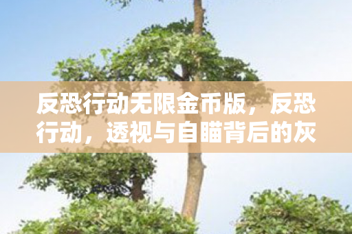 反恐行动无限金币版，反恐行动，透视与自瞄背后的灰色产业链
