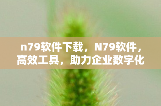 n79软件下载,N79软件,高效工具,助力企业数字化转型 n79软件下载,N79软件,高效工具,助力企业数字化转型