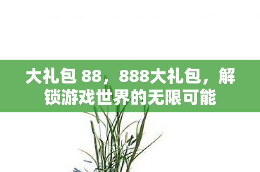 大礼包 88,888大礼包,解锁游戏世界的无限可能 大礼包 88,888大礼包,解锁游戏世界的无限可能