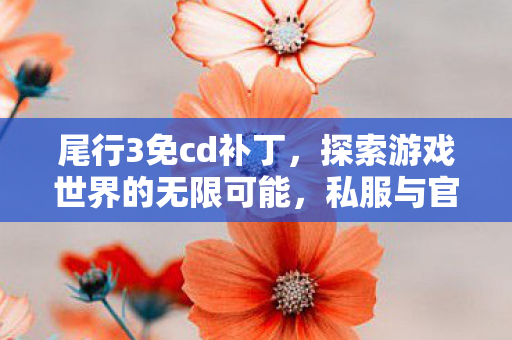 尾行3免cd补丁,探索游戏世界的无限可能,私服与官方服务器的独特魅力 尾行3免cd补丁,探索游戏世界的无限可能,私服与官方服务器的独特魅力