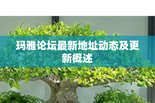 玛雅论坛最新地址动态及更新概述 玛雅论坛最新地址动态及更新概述