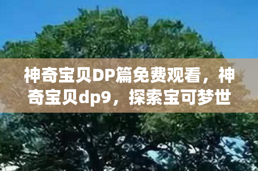 神奇宝贝DP篇免费观看，神奇宝贝dp9，探索宝可梦世界的全新冒险