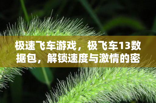 极速飞车游戏，极飞车13数据包，解锁速度与激情的密钥