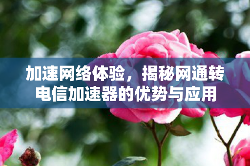 加速网络体验,揭秘网通转电信加速器的优势与应用 加速网络体验,揭秘网通转电信加速器的优势与应用