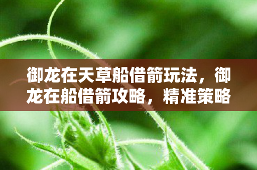 御龙在天草船借箭玩法,御龙在船借箭攻略,精准策略助你箭无虚发 御龙在天草船借箭玩法,御龙在船借箭攻略,精准策略助你箭无虚发