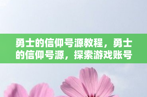 勇士的信仰号源教程，勇士的信仰号源，探索游戏账号的珍贵与保护